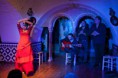/album/fotogaleria-inicio/flamenco-barcelona-3-jpg/